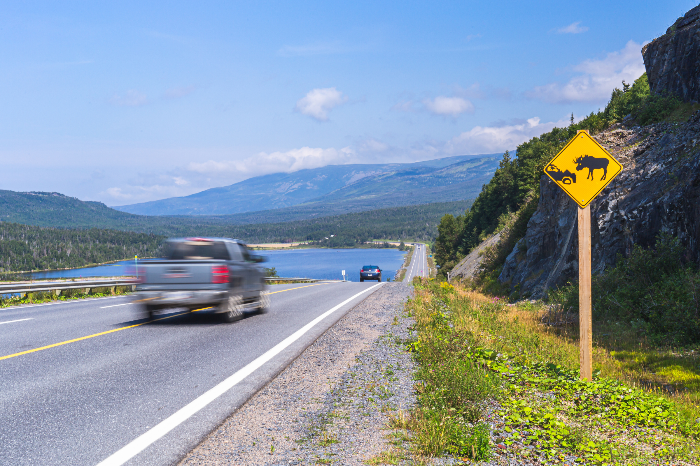 gros morne national park, newfoundland and labrador (4).webp